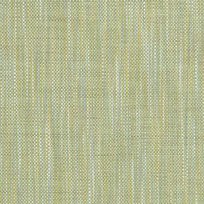 Verdi Textured Stripes Fabric, Peridot