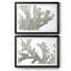 Corail macro en pierre I - Étude nautique antique, sous passe-partout et encadré sous verre acrylique, lot de 2, décoration murale côtière pour salon-1596873061-1596873066