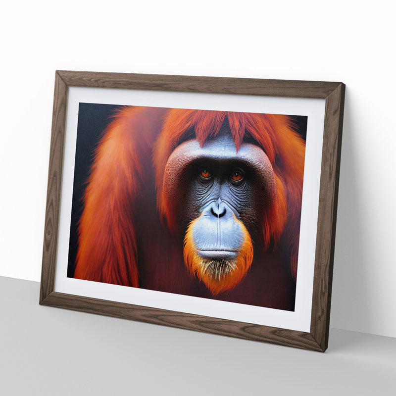 Enviable Orangutan - Single Picture Frame Print, 34cm H x 46cm W x 2cm D, Walnut