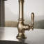 Artifacts® Bar Faucet-93465839