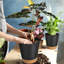 Pots à plantes avec trou de drainage-311241078