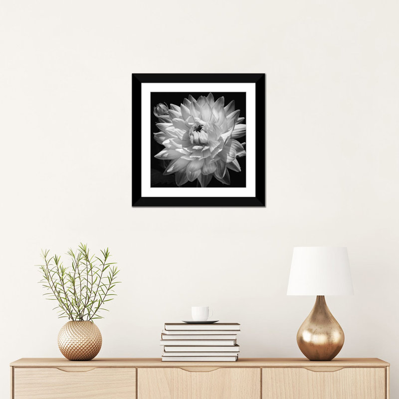 «White Dahlia II», impression sur toile, H 16 po x l 16 po x P 1 po, Papier d'art encadré noir, Blanc