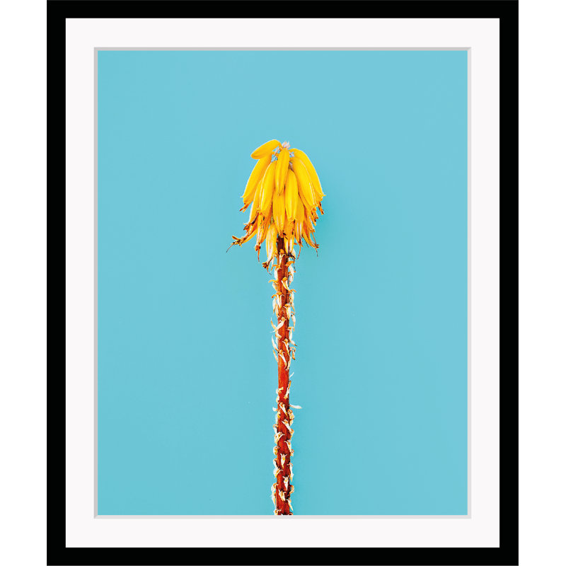 Flower - Single Picture Frame Print
