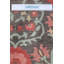 New Afghani Suzani Wool On Cotton 9Ftx11ft10in Charcoal
