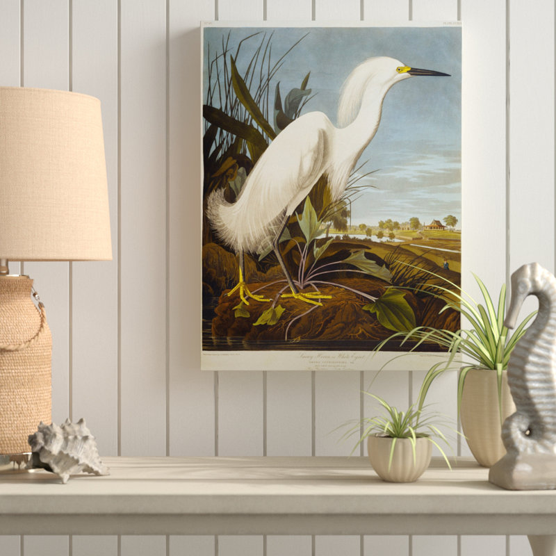 John Audubon - Cadre photo, reproduction d'art sur toile, 19" H x 14" W, Toile tendue