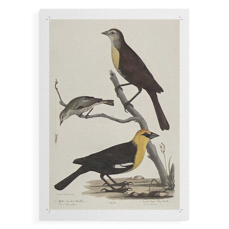 Imprimé animalier rétro - impression sur toile seulement - non encadrée, H 27 po x l 18 po