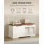Accent Chest-823438109