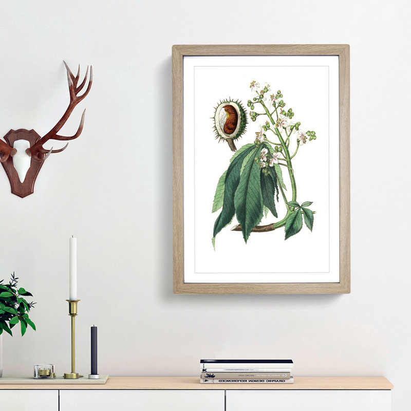 European Horse-chestnut Tree Illustration - Picture Frame Painting Print, Oak Framed, 65cm H x 48cm W x 2cm D