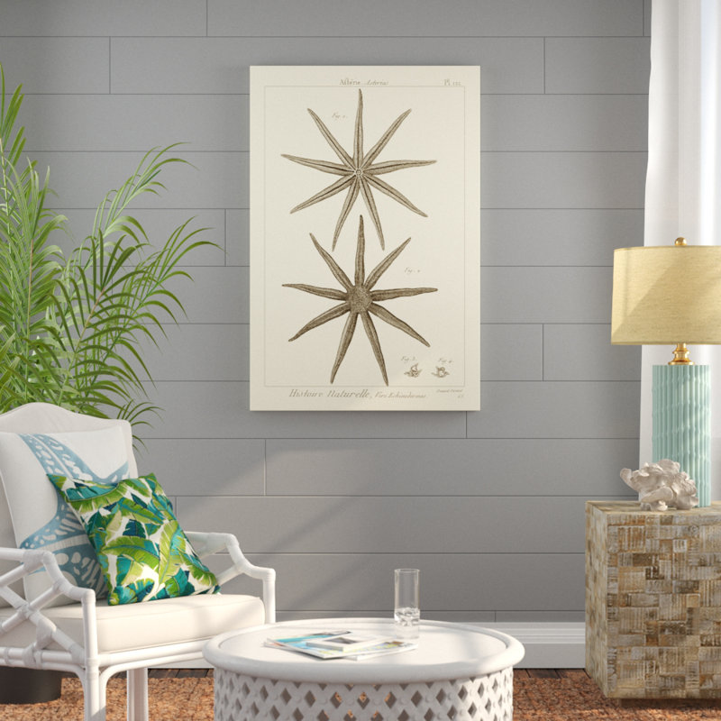 Striking Starfish III - Graphic Art, 122cm H x 81cm W, Wrapped Canvas