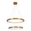 Luminaire suspendu à 2 anneaux avec lustre circulaire à DEL moderne pour le salon, la salle à manger, l'entrée, le vestibule