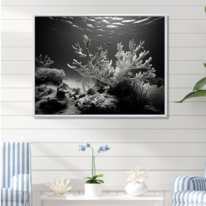 «Black and White Coral Anemone Kingdom V», reproduction d'art sur toile plage et océan, Cadre flottant blanc