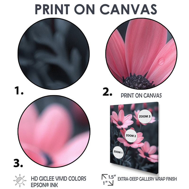 Monochromes roses et noires, photo I - marguerites, art mural, Cadre flottant brun, H 24 po x l 32 po