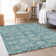 Premium Machine Washable Prisco Teal Rug