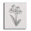 Grosso Wrapped Canvas Print Set-1327319694
