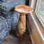 Customer photo 3 of 3