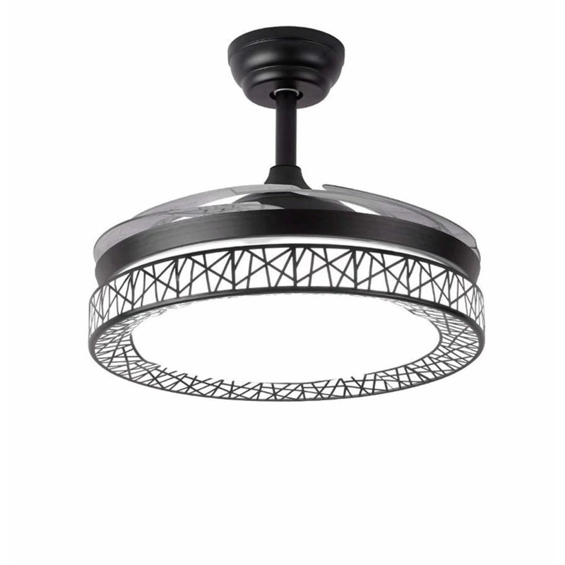 Tasmine 42'' Ceiling Fan with LED Lights