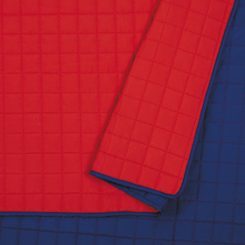 Ayer Solid Red & Blue Microfiber Reversible Kids & Teens Quilt Set, Full/Queen Quilt + 2 Standard Shams
