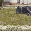 Tapis 100% polypropylène Anselm-21965277