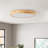 1-lamp matte white LED dimmable acrylic ceiling light
