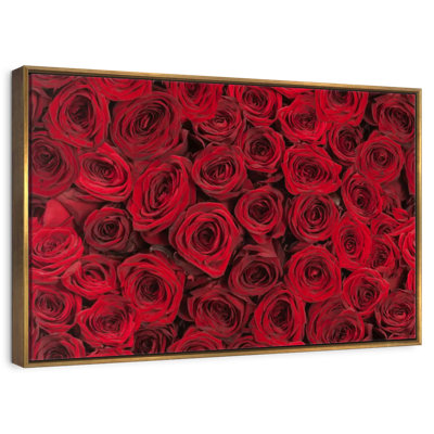 Summer Red Roses