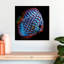 Poisson aquatique Brampt-109359259