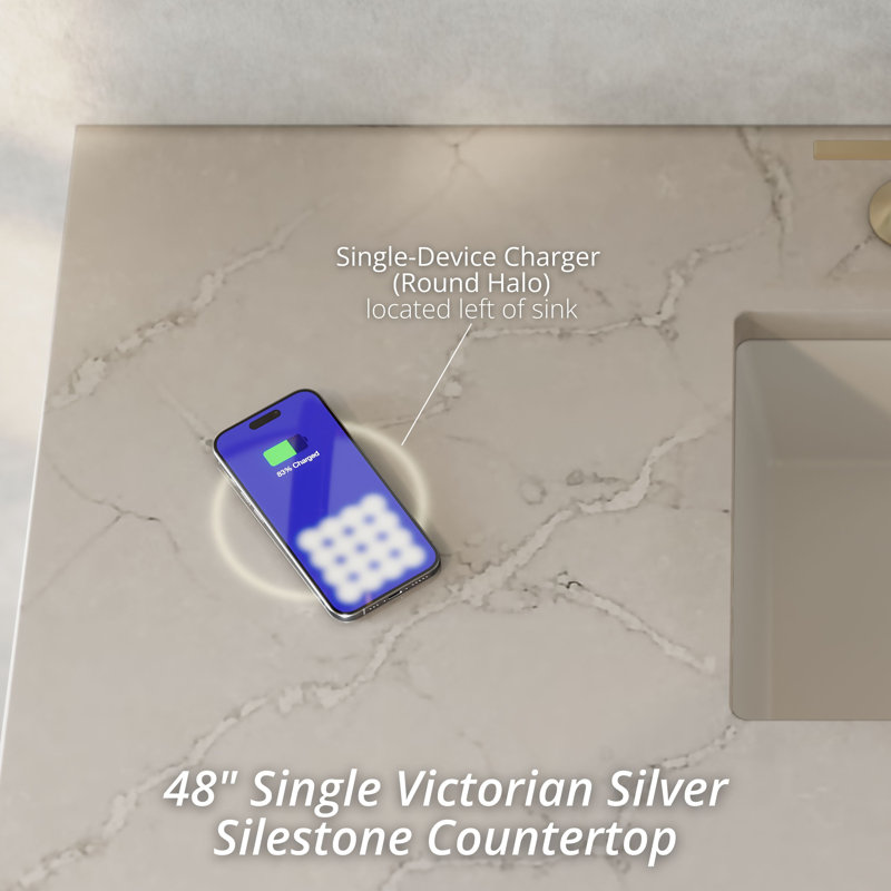 Brookfield Single Vanity W/ Freepower Wireless Charger, Pecan, Victorian Silver, 48"