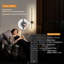 Dawsen LED Wallchiere