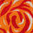 Aloha  Floral Multicolor Indoor/Outdoor Area Rug-158215703