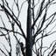 Arbre de brindilles noires 8 pi pré-éclairé Halloween-2034796362
