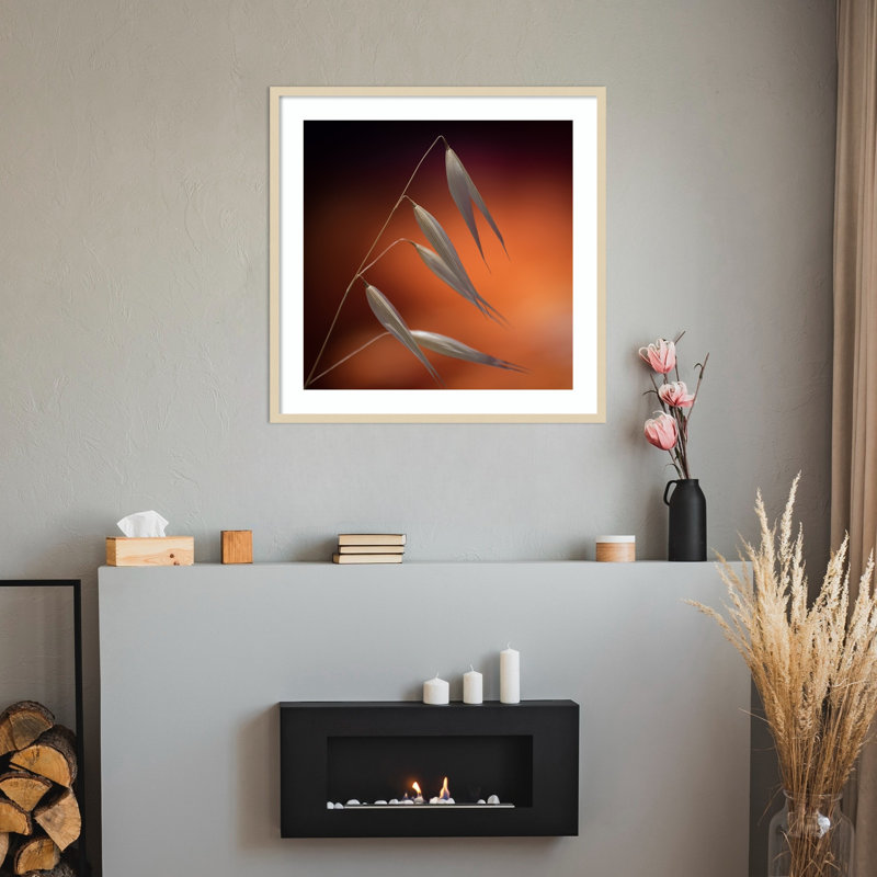 «Plant at Sunset» par Thierry Lagandre (reproduction d'art encadrée en bois transgressé, H 33 po x l 33 po