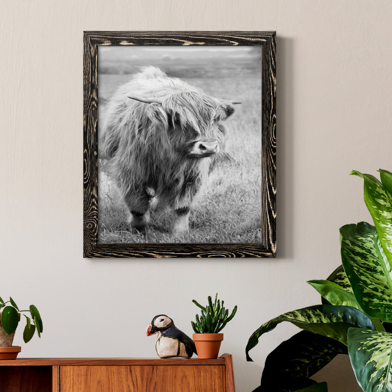 Gretna Green Highland - Photographie de cadre photo sur toile, H 20 po x l 17 po x P 1,5 po, Cadre noir