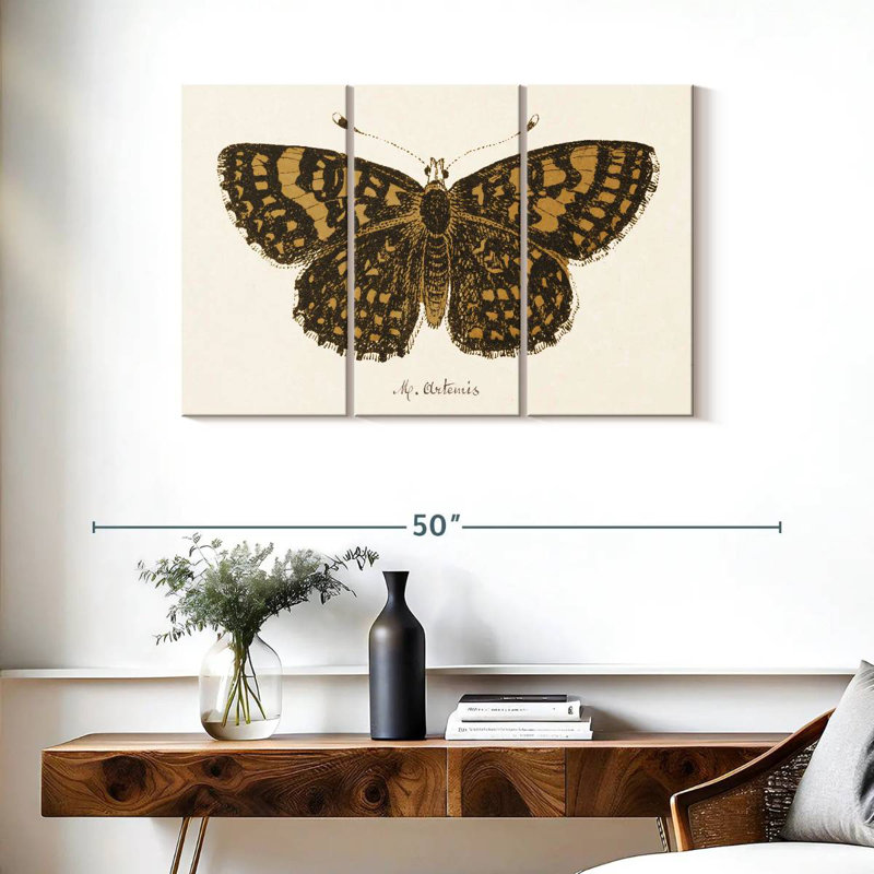 Brampt antique papillon II, H 24 po x l 38 po