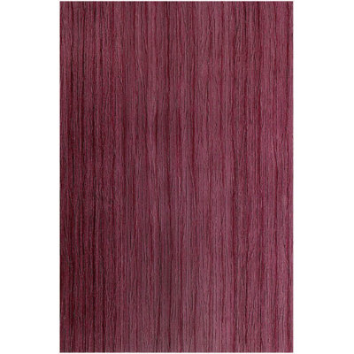Tapis de couloir luxueux, 100% velours, 31,5 po x 59,1 po | Semelle en coton antidérapant, hauteur des poils: 0,4 po | Antibactérien et lavable à la machine, impression numérique 3D | Design élégant pour le salon et le vestibule
