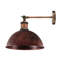 Janessa 1-Light Iron Swing Arm Dome Wall Sconce-361731991-361710294