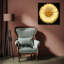 Ambiance-521379804