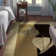 Carletta Floral Indoor Rug