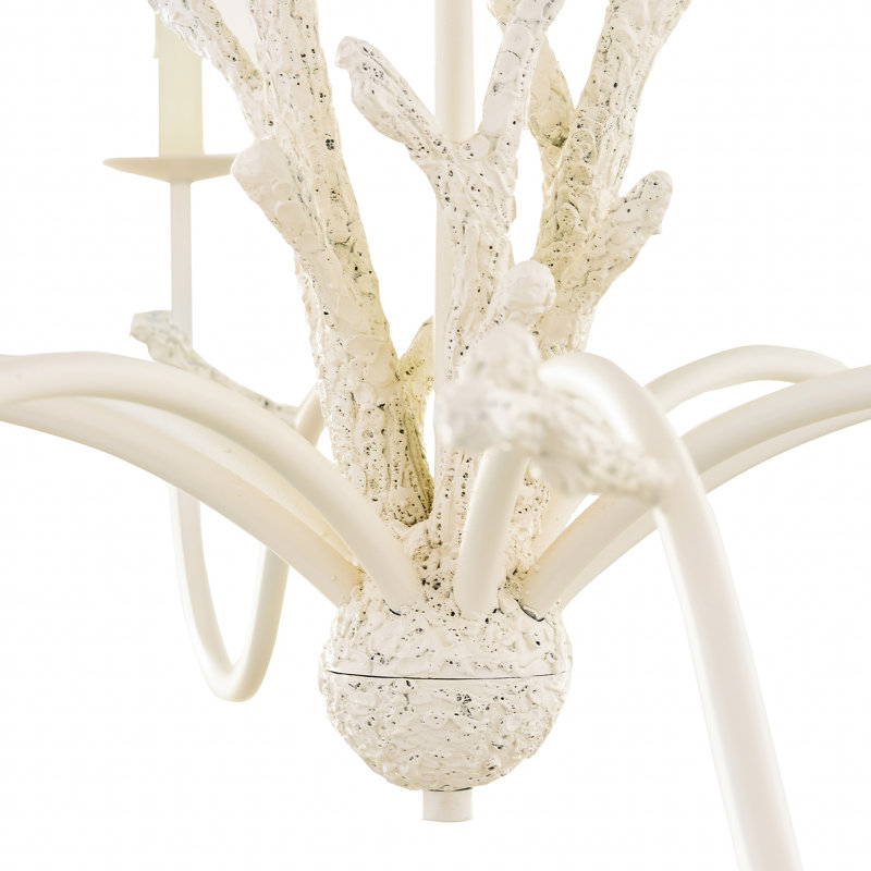 Coral Chandelier