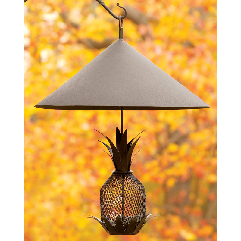 Dambrosio Squirrel Guard