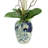 Polysilk Orchid Arrangement in Vase