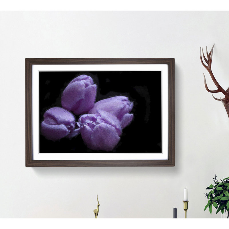 Four Purple Tulips - Framed Print, Walnut Framed, 36cm H x 48cm W x 2cm D