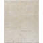 Silk Oriental Area Rug in Beige/Light Yellow