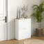 12 Pair Shoe Storage Cabinet