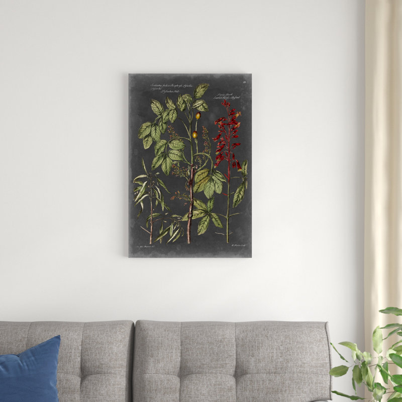 Tableau botanique rétro III, H 30 po x l 20 po x P 1,25 po