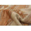 Tapis à main one-of-kind-noué la 2010 shalimar orange/crème 5 pi 9 po x 8 pi, laine de 9 po Céline