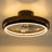 Farmhouse Ceiling Fan With LED Light Fandelier