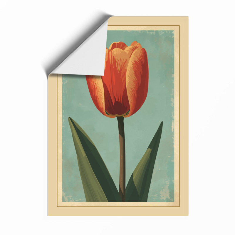 Striped Tulip Study Botanical - Print, Unframed, A1 - 84.1 x 59.4 cm