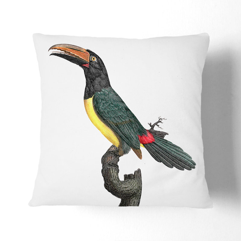 Aracari Toucan by Jacques Barraband Cushion with Filling, Black, 40cm H x 40cm W x 15cm D