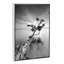 « water tree v » par moises perception-reproduction de photo-49905323-49905322
