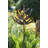Rodarte  Wind Rotator-24742202