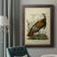 Toile de qualité supérieure Audubon Wild Turquie, prête à être accrochée-445988153